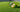 Is Artificial Turf Safe?
