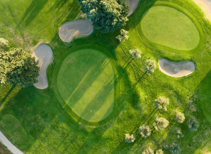 Sports & Specialty Turf