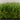 Capri 35 artificial turf for residential landscaping