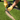 Person installing synthetic grass with tools on a green lawn