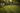 Backyard with well-maintained lawn, trees, and outdoor furniture.