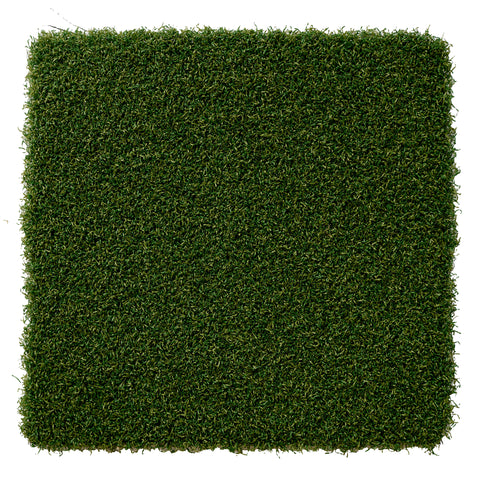 Augusta 15 (Golf Turf)