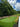 Golf putting green with flags and trees in the background