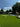 Golf course with a pink golf ball on a putting green, surrounded by trees and a pool.