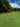 Golf practice area with red flags and yellow stakes on a green grass field.
