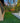 Backyard with green grass, trees, and a house corner.