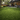 Livorno 45 is designed to create a softer, more relaxed natural lawn appearance with a focus on comfort and visual flow.