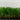 Verona 45 artificial turf product photo for premium full-bodied lawns and luxury outdoor spaces