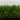 Sierra 40 artificial turf product photo for residential backyard landscaping