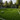 Sevilla 50 sports artificial turf product photo for soccer fields and multi-use athletic spaces