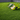 Ventura 40 artificial turf for family outdoor spaces